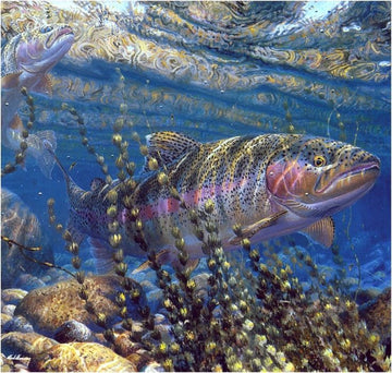 Trout